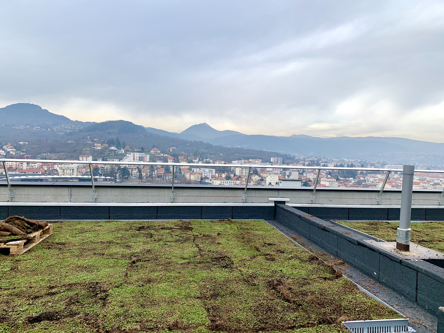 23-01-2020-Végétalisation-toiture-terrasse1