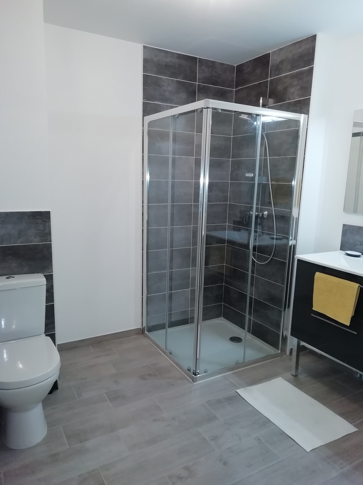 07-11-2019-SDB-appartement-témoin