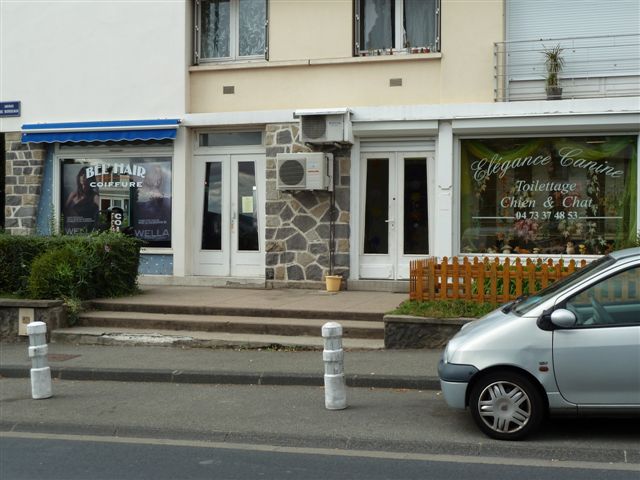 Toilettage pour chiens