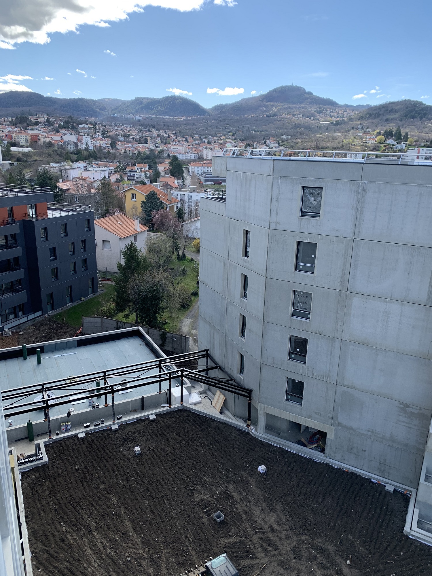 12-03-2020-Traitement-de-la-terrasse-végétalisée-centrale-GABRIEL