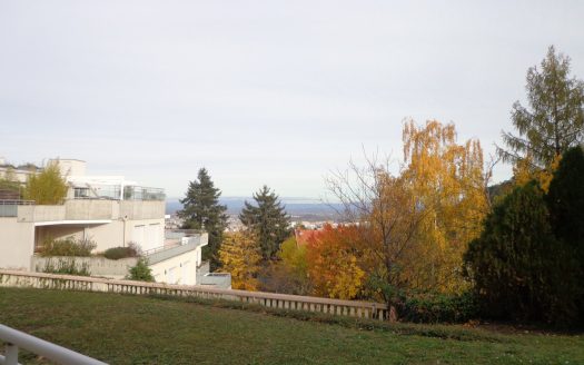 T3 n05 – Résidence Le Domaine de Maupas B