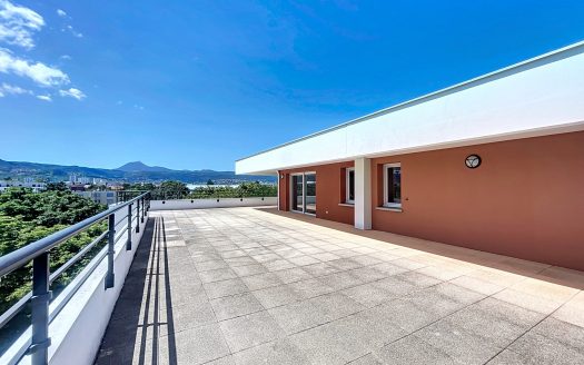 CLERMONT-FD SUD – Appartement sur le toit, 5 pièces, 135 m2 avec terrasse 166 m2 et double garage