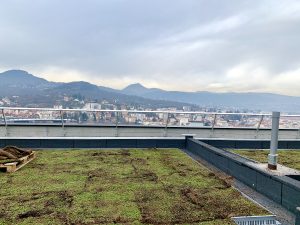 23-01-2020-Végétalisation-toiture-terrasse1